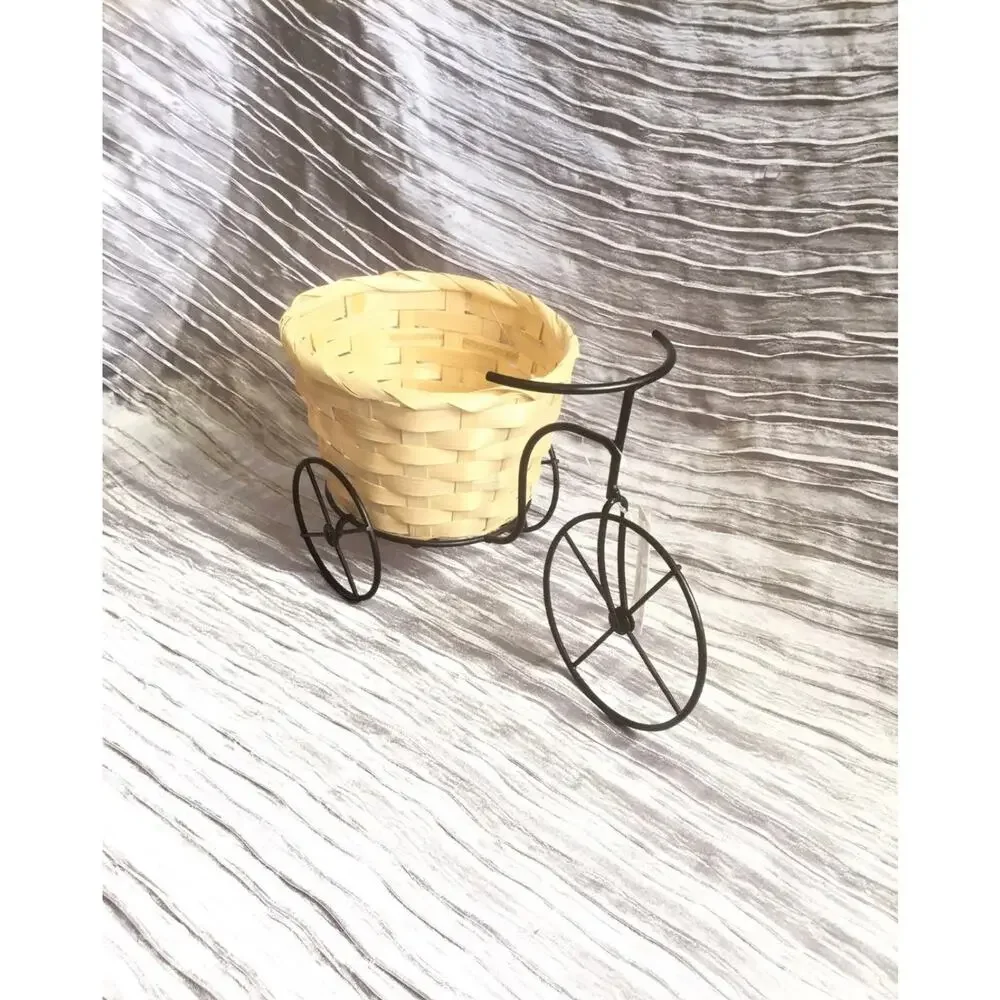 New With Tag Tricycle Basket